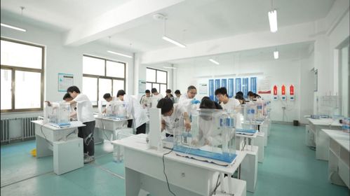 技能啟航未來，職教鑄就夢想——蘭州資源環境職業技術大學旅游信息咨詢服務專業建設探索